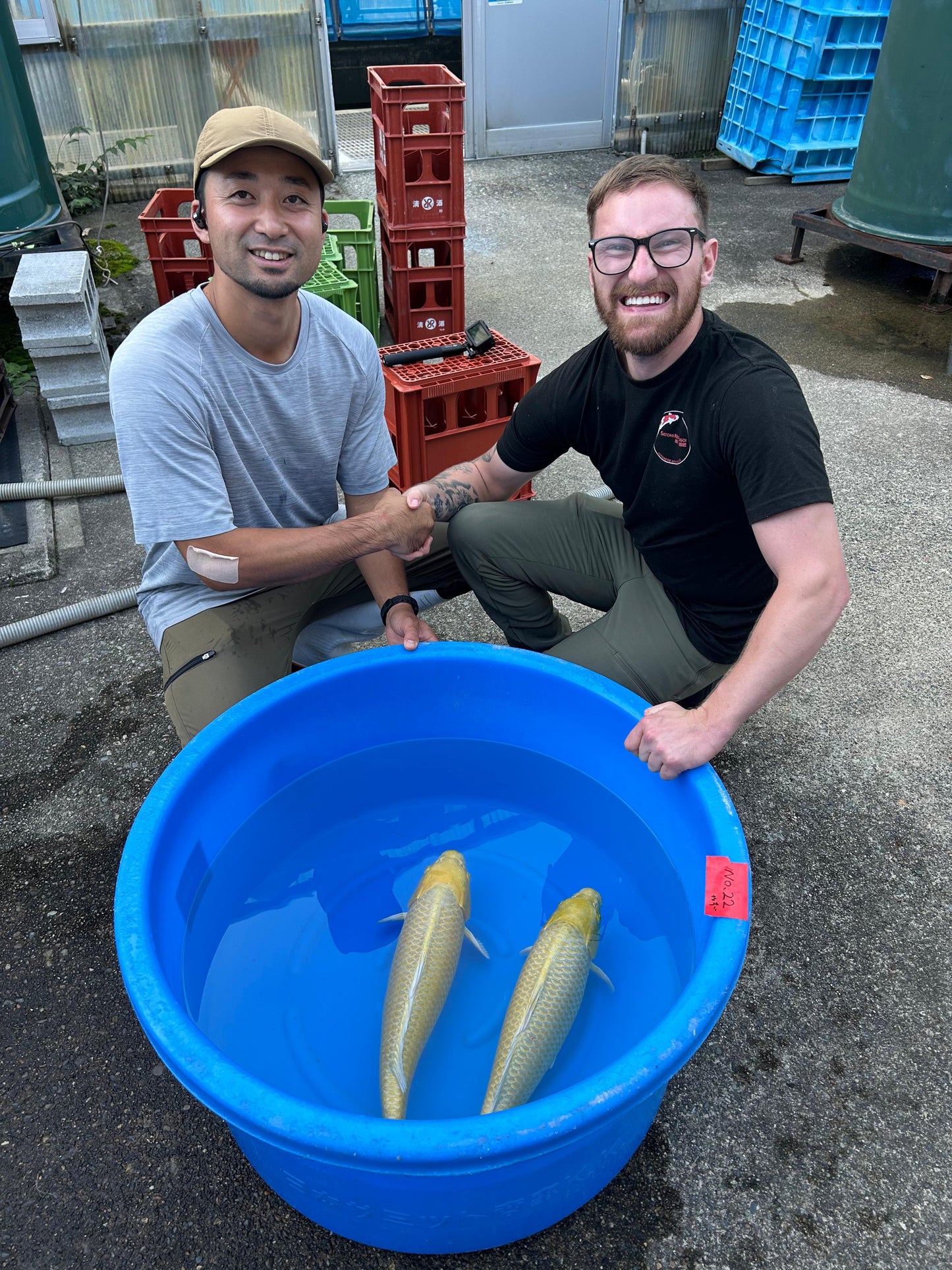 Japan Live 5 - Izumiya Nisai Yamabuki - JL5