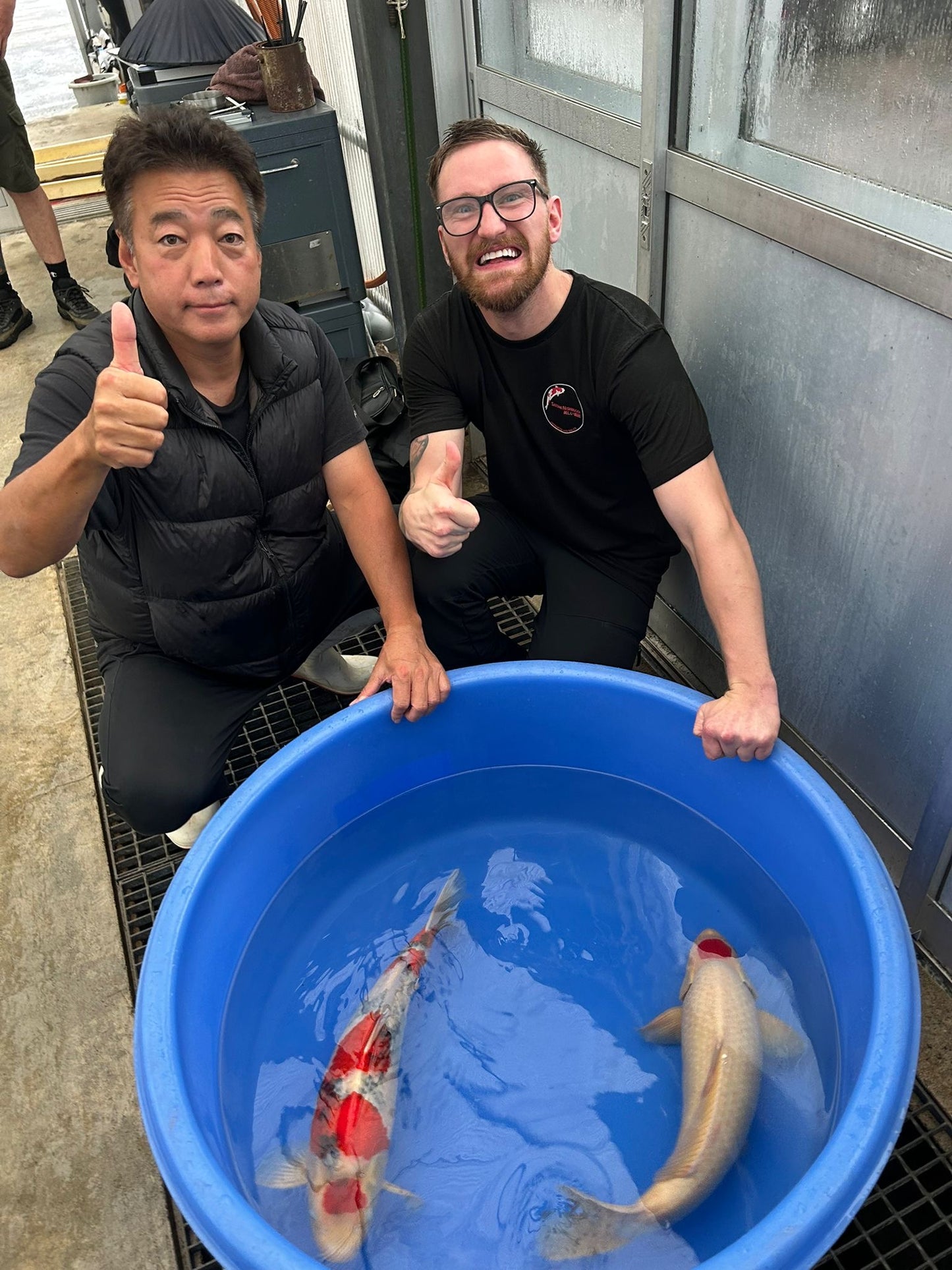 Japan Live 6 - ISA Nisai Tancho - JL6