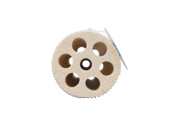 Mountain Tree Fresh Lotus Root Bacteria 8 X 25CM