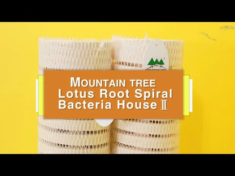 Mountain Tree Fresh Lotus Root Bacteria 4 X 16.5CM