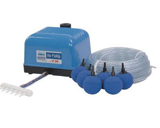 AquaForte Air Pump Flow Set (with line/stones)