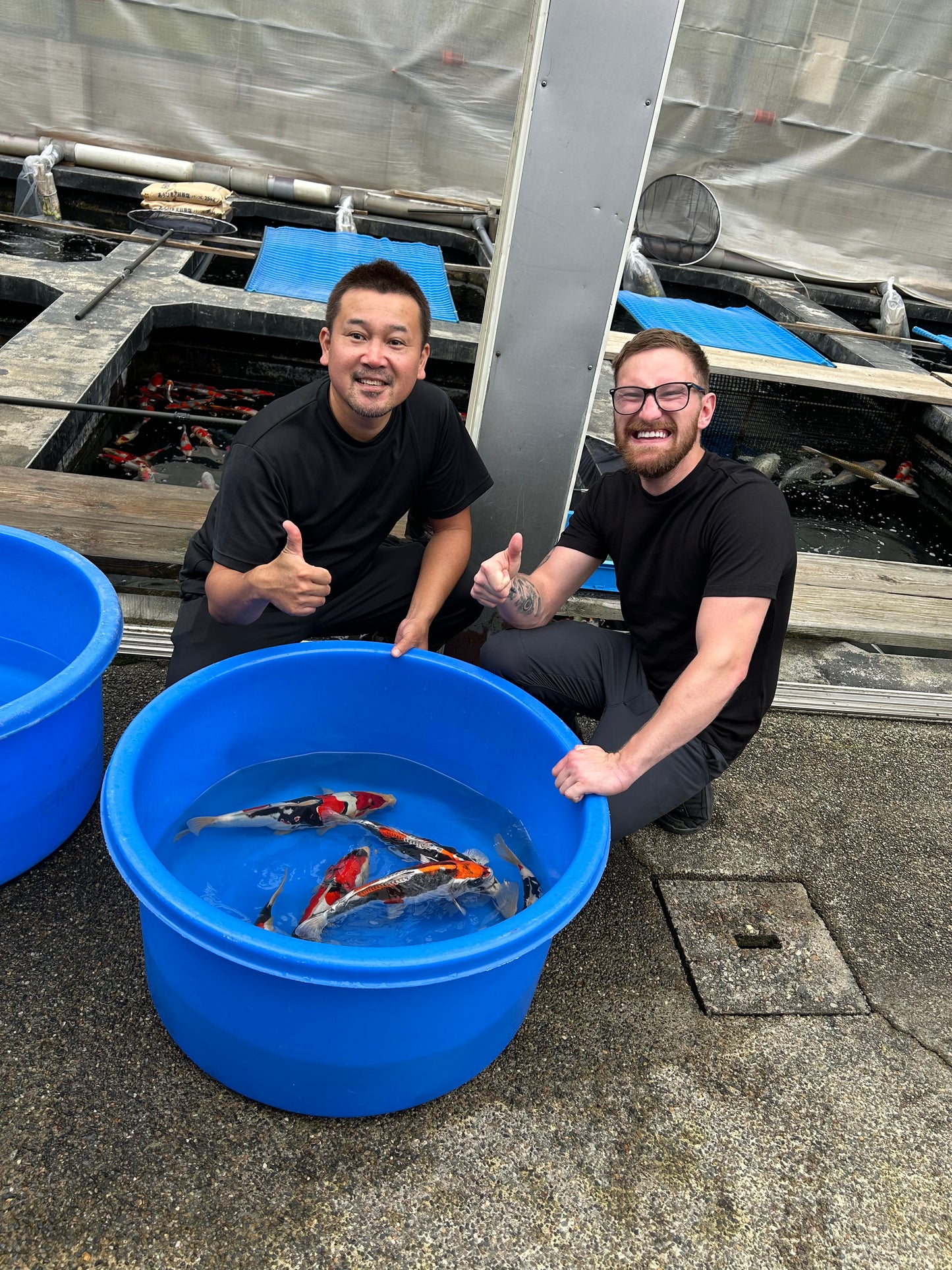 Japan Live 29 - Kawakami Nisai - JL29