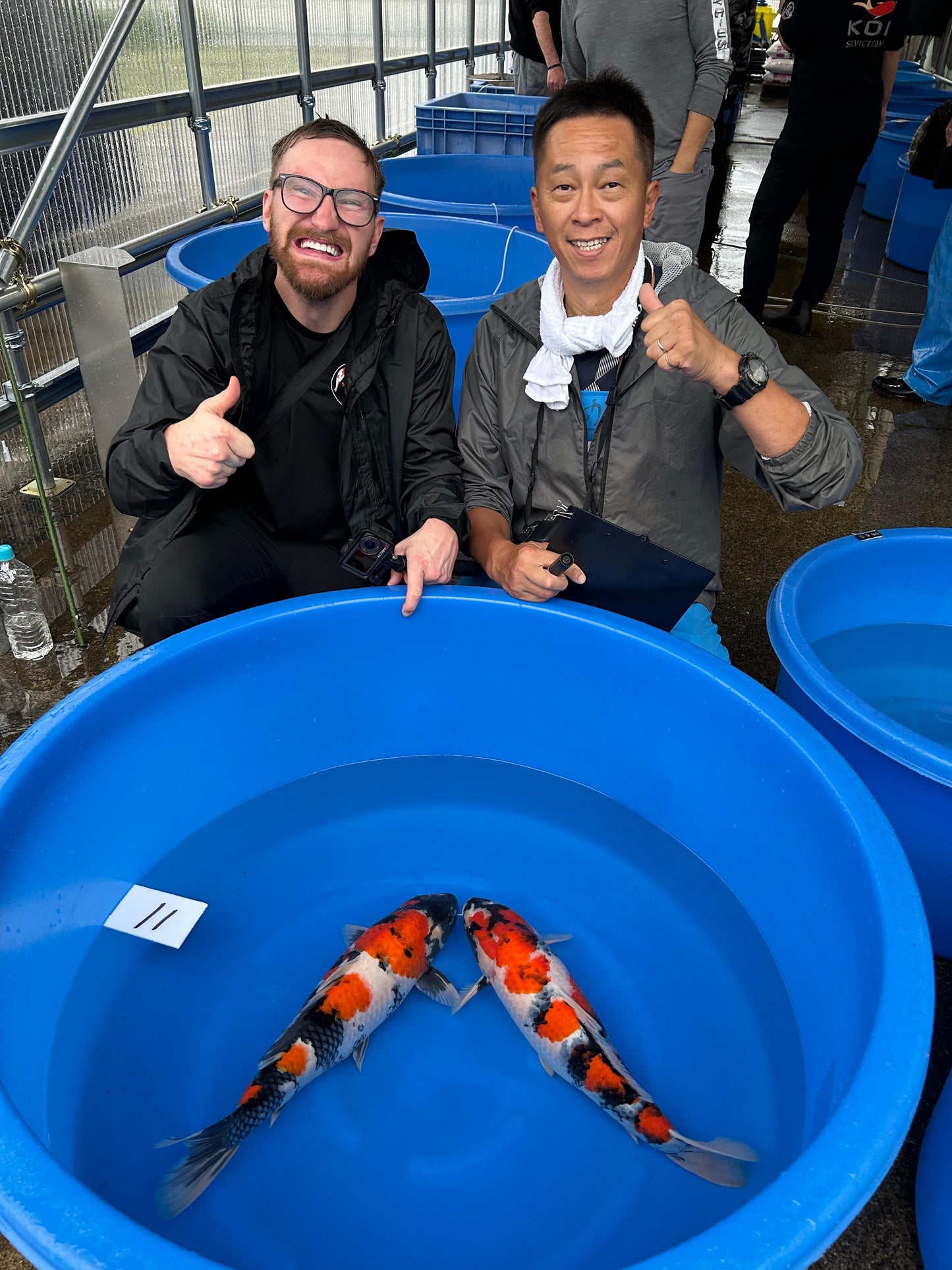 Japan Live 11 - Hoshikin Nisai - JL11