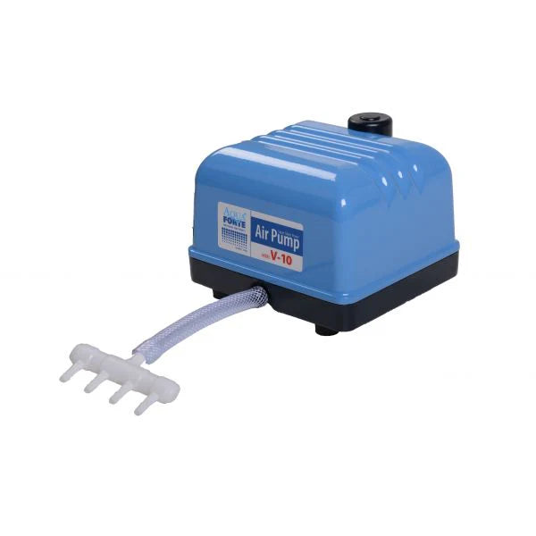 AquaForte Air Pump Flow