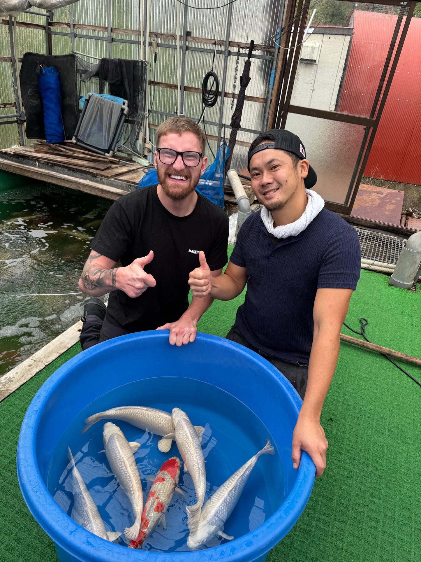 Japan Live 33 - Sakazume Nisai - JL33